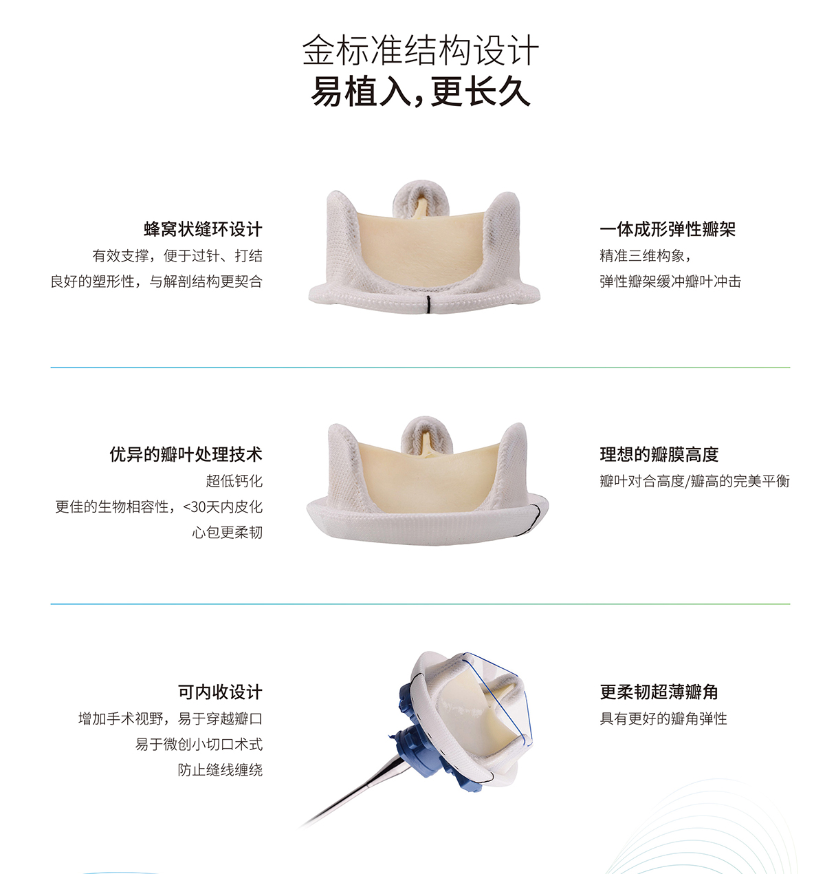 牛心包生物瓣膜_外_outline4.jpg