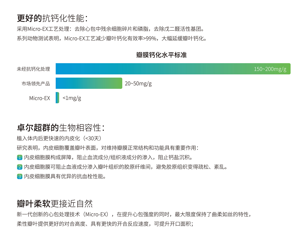 牛心包生物瓣膜_外_outline2.jpg