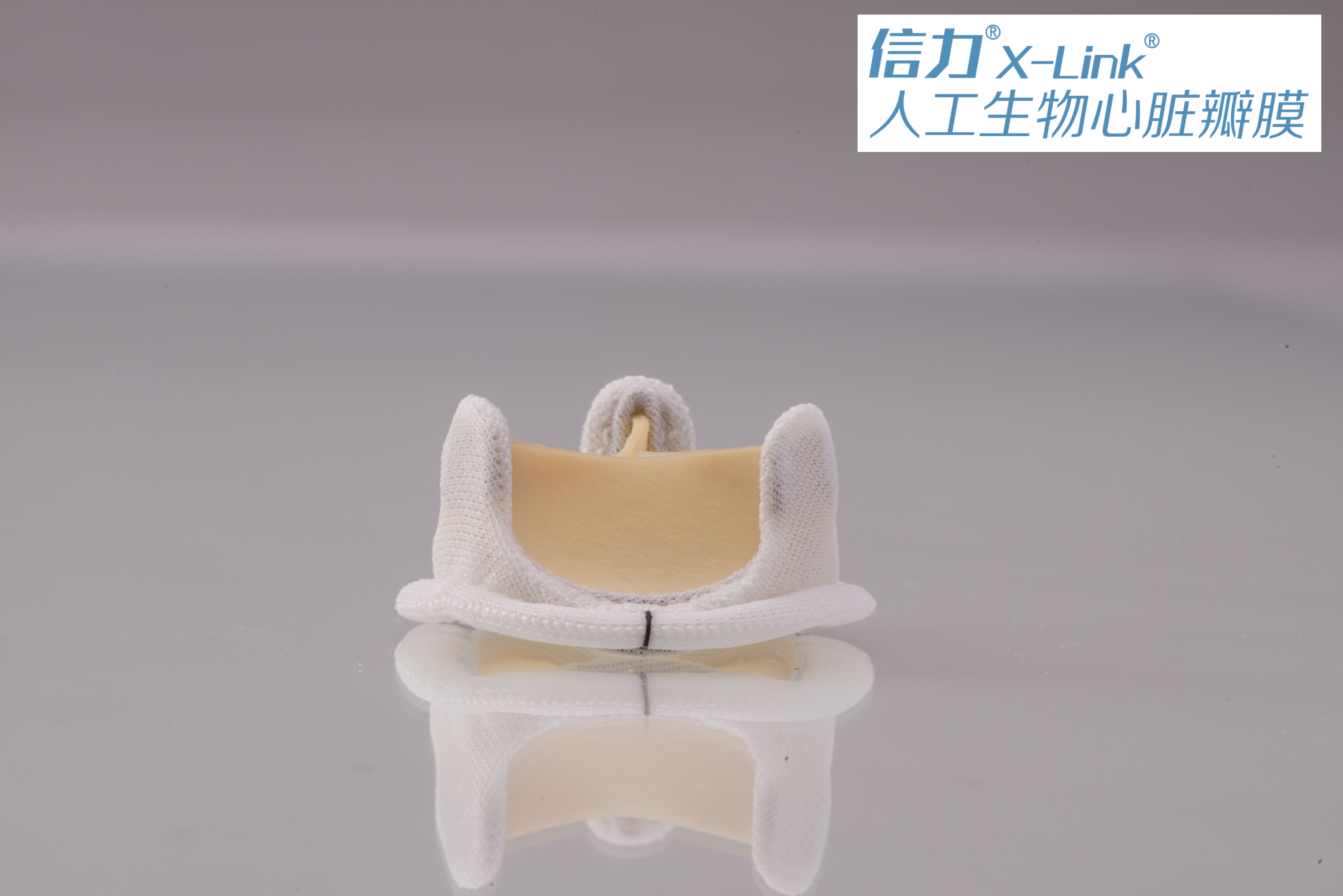 HK1_7420的副本