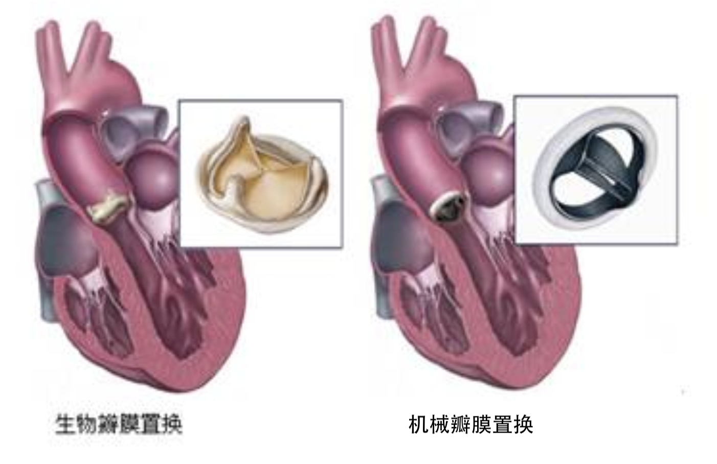 截屏2019-12-12下午2.26.28