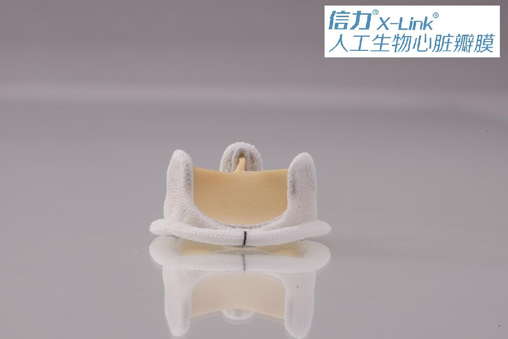 如何选择生物瓣膜？
