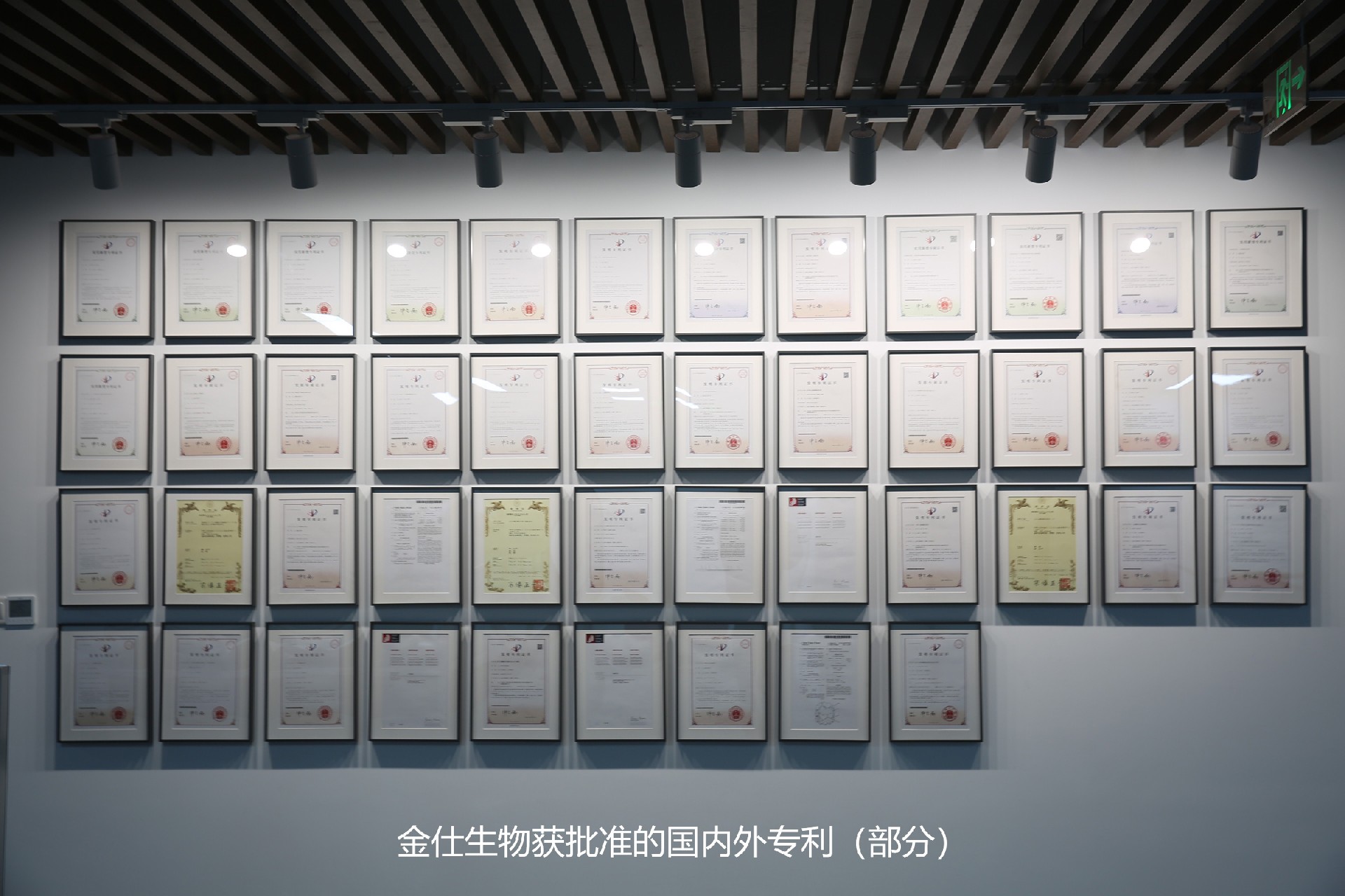 b23f2a40e668d96a2e669df56628e42.jpg