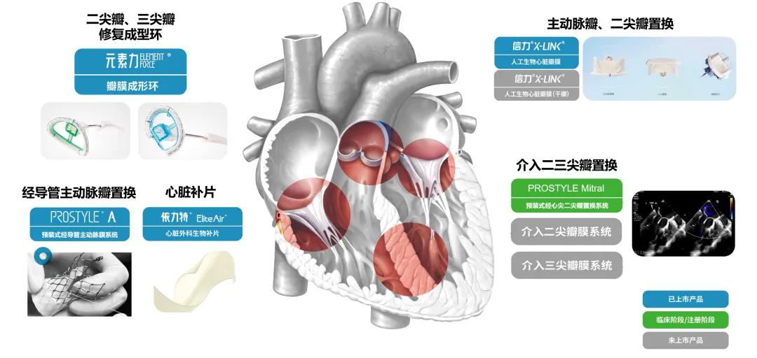 640_wx_fmt=png&from=appmsg&tp=webp&wxfrom=10005&wx_lazy=1 (2)(1).jpg
