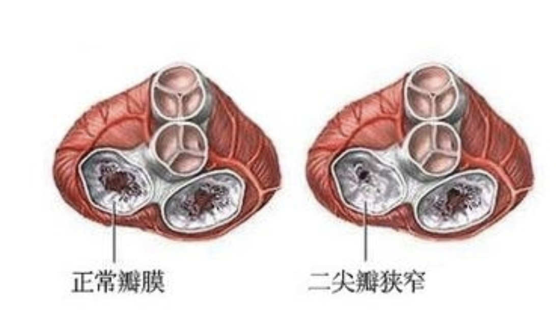 截屏2019-12-12下午1.39.40