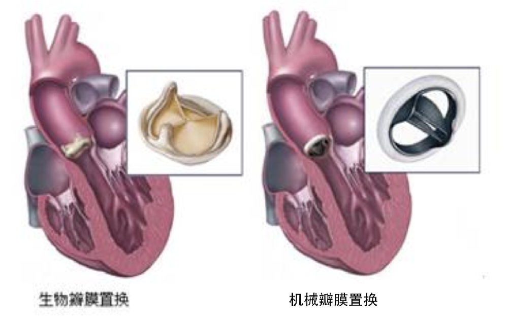 截屏2019-12-12下午2.26.28