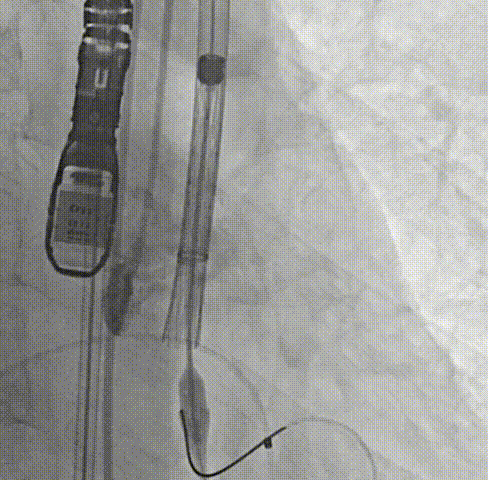 8.gif