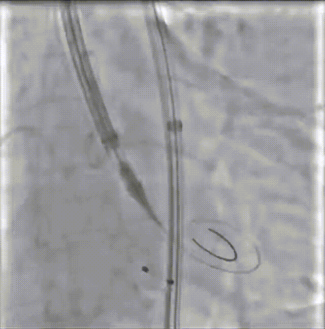 8.gif
