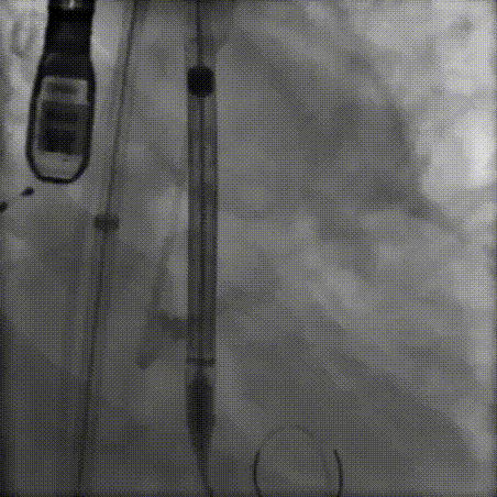8.gif
